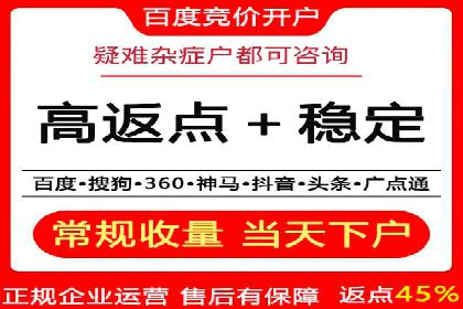 某电商平台的SEM运营实战与效果分析